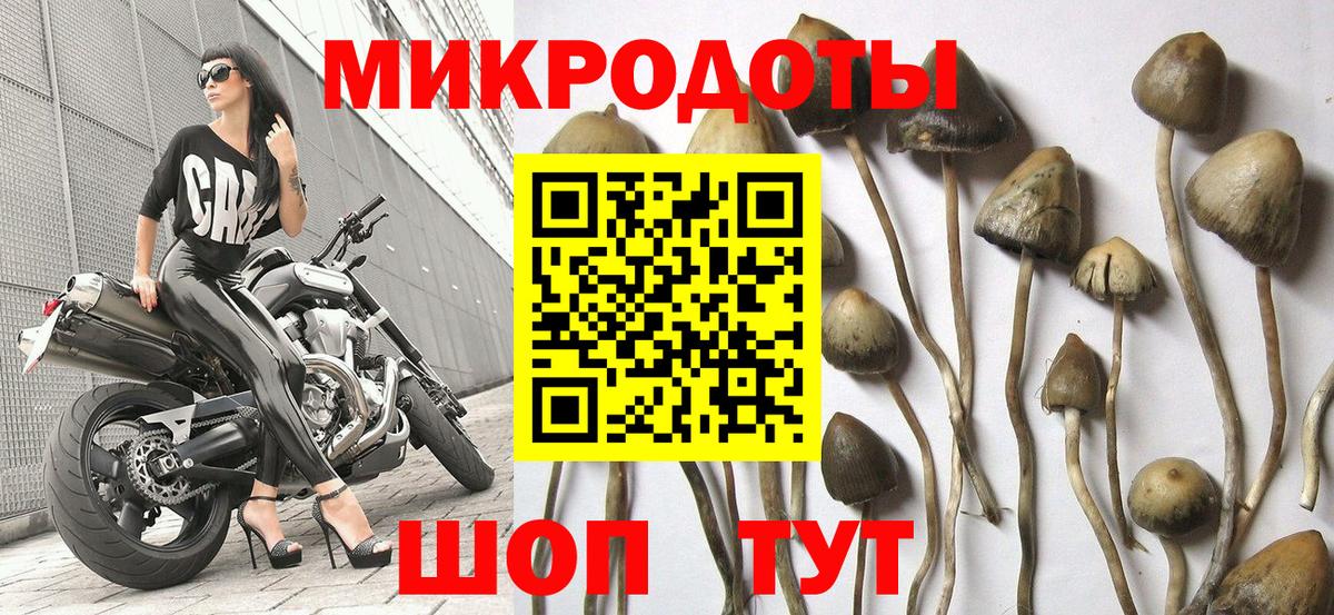 Галлюциногенные грибы прущие грибы Пыть-Ях