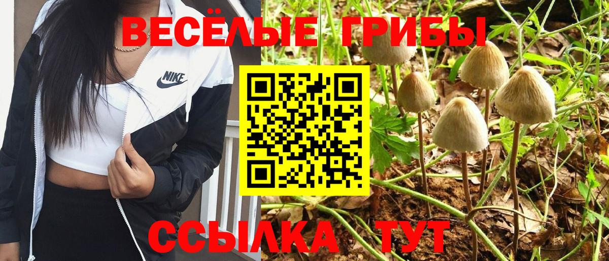 Пыть-Ях  сколько стоит  Вход с VPN  Псилоцибиновые грибы прущие грибы  Галлюциногенные грибы Psilocybine cubensis 